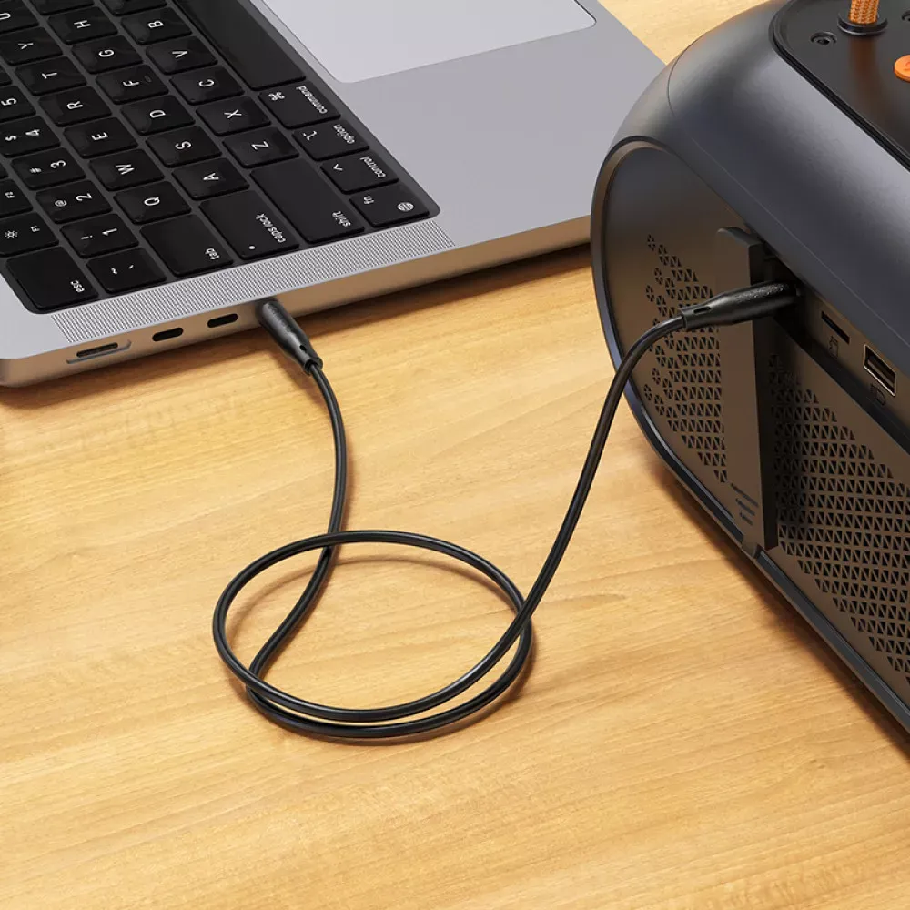 Cable Aux (1m) — Hoco BL26 - фото 5