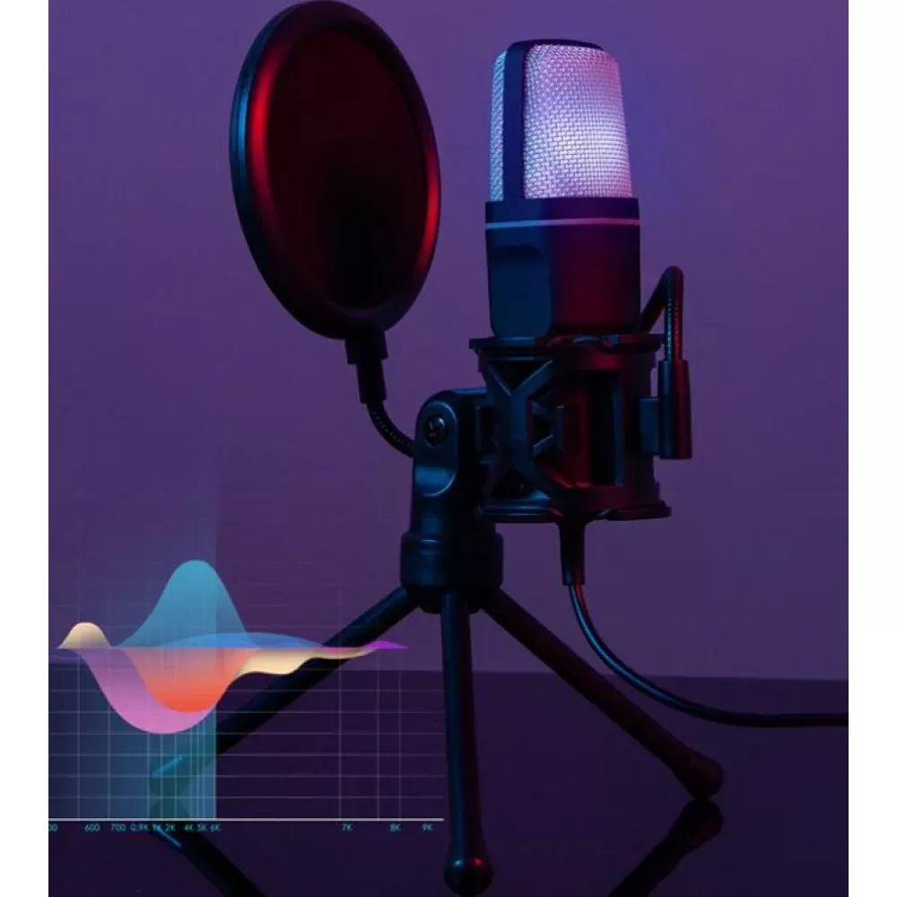 Microphone SH-666R - фото 5