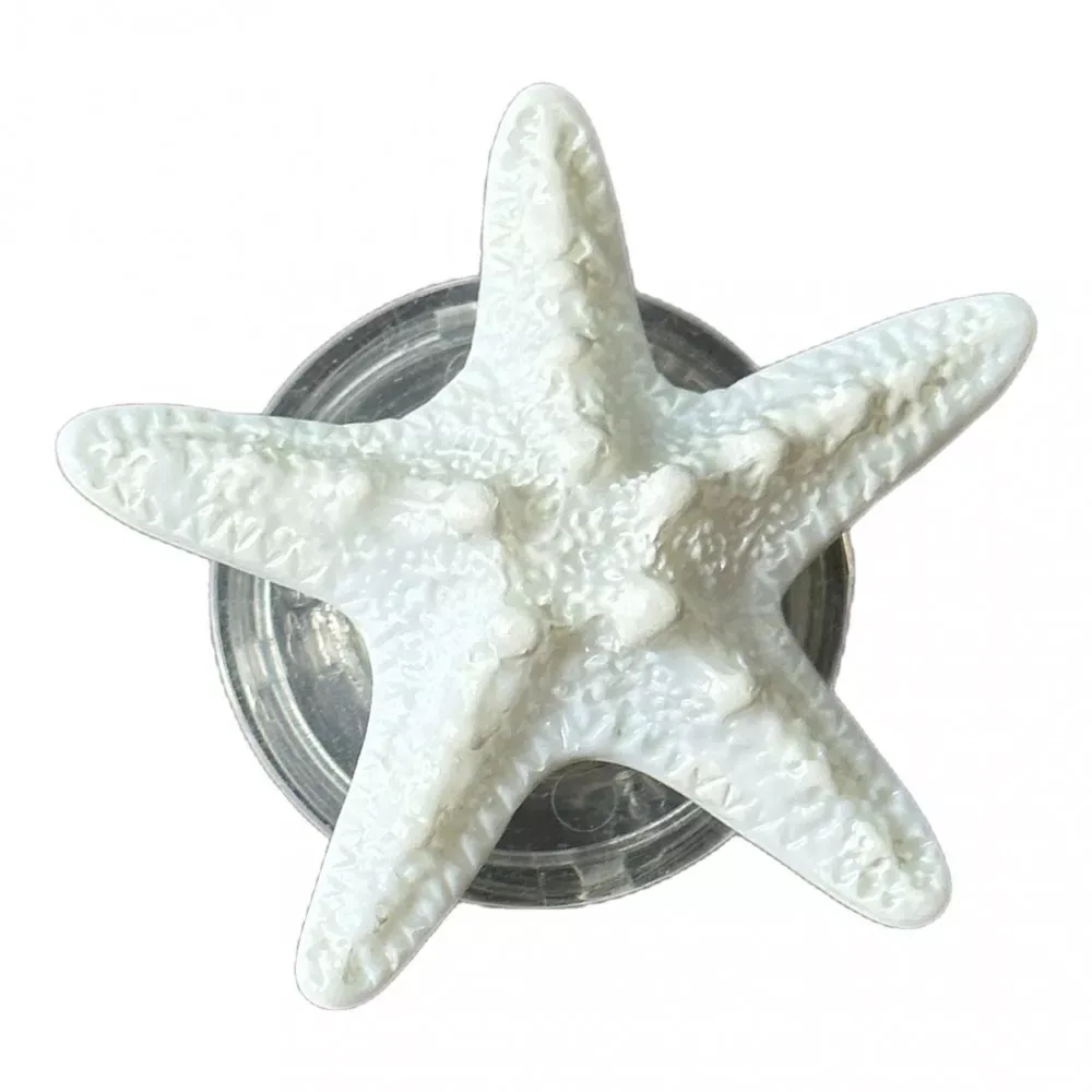 Popsocket Marine Life — Starfish
